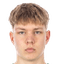 andero kaares player photo