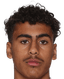 Neo Dobson player photo