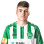 Tim Staubli player photo