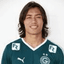 Tulio Rocha Lima player photo
