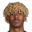 Didier Lorenzo Reinoso Maturell player photo