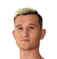 Daniel Štefulj player photo