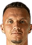 Denis Baumgartner player photo