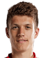 Daniel Smiga player photo
