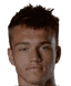 Nikolay Dovydenko player photo