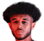 R. Palmer player photo