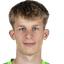 Fabian heck player photo