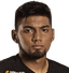 Fabian Caytuiro player photo