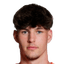 Manuel Fellner player photo