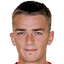 Milan Jurdik player photo