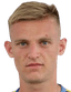 Victor Sotnikov player photo