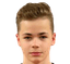 Henri Leoke player photo