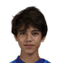 Joshua Little player photo