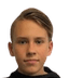 Gregor Roivassepp player photo