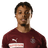 Alexis Martial player photo