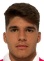 Adrian Sulea player photo