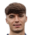 Sam Bird player photo
