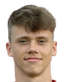 Niklas Geisler player photo