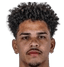 Fábio das Neves Gerônimo de Almeida player photo