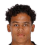 Million·Manhoef player photo