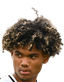 Aaron Malouda player photo