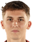 Catalin Vulturar player photo