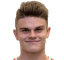 Fabrice Hartmann player photo