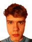 Edvin Tapfer player photo