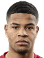 Steffen Yeates player photo