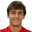 michael cardo player photo