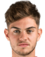 nico rijn van player photo