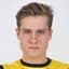 Illimar Loigo player photo