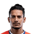 S. Fernandes player photo