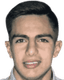 razvan vulpe player photo
