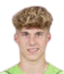 Harald·Postl player photo
