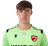 Aleksander Mitrovic player photo