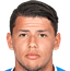 Gustavo Hamer player photo