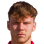 barnabas nemeth player photo