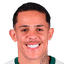 Wallisson player photo