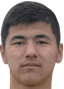 Rinat serikkul player photo