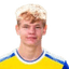 Daan Visser player photo