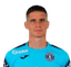 Jonathan Rougier player photo