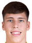Stephan Negru player photo