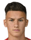 Lukas Wallner player photo