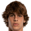 Benjamin Cremaschi player photo