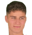 Balint geiger player photo