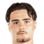 Nicolas Pays player photo