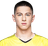 Zlatan Šehović player photo