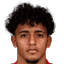 G.de Peña player photo