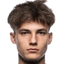 N. Grlić player photo